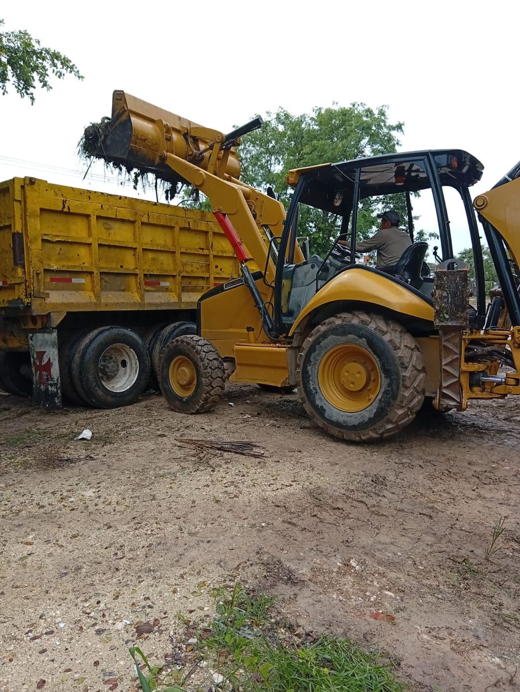 Retroexcavadora cargando residuos vegetales en un camión de volteo